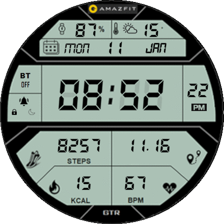 Hi-Bruno Digital Bug