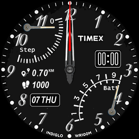 TIMEX GTR2
