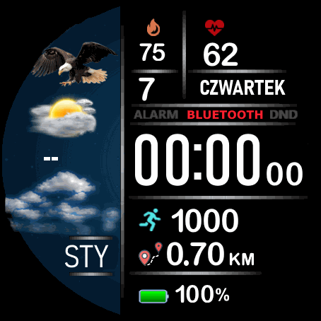 Digital green mod RUS, POL,SLO,ENG