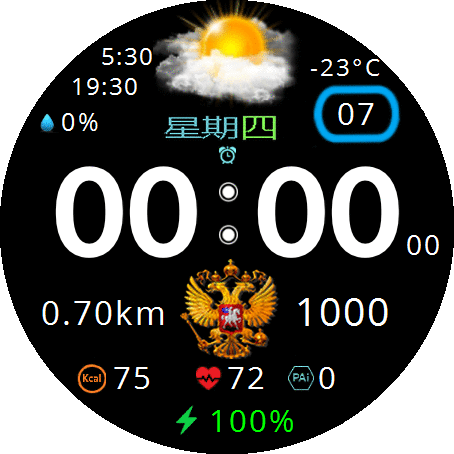 1-18-10-21-666-GTR2-Revise-zh