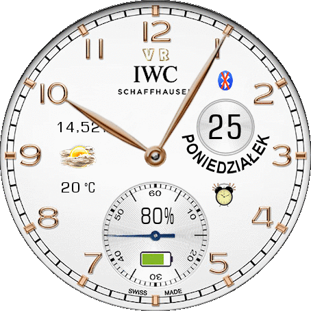 VR IWC SCHAFFHAUSEN w&g