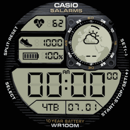 Casio_v1