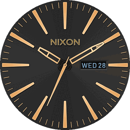 Nixon Sentry
