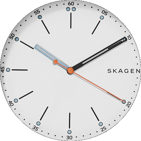 Skagen Signatur White