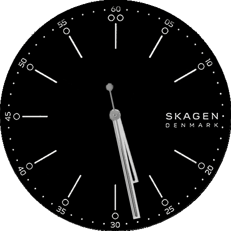 Skagen Signatur Black