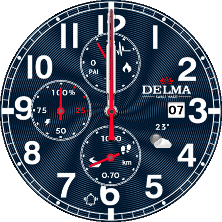 Delma Swiss
