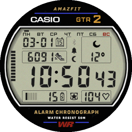 casio_v1_mod_ru_GTR_2