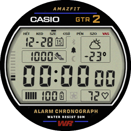 casio_v1_mod_hu_GTR_2