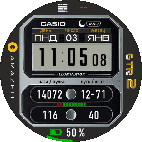 casio_personal_mod_ru_GTR_2