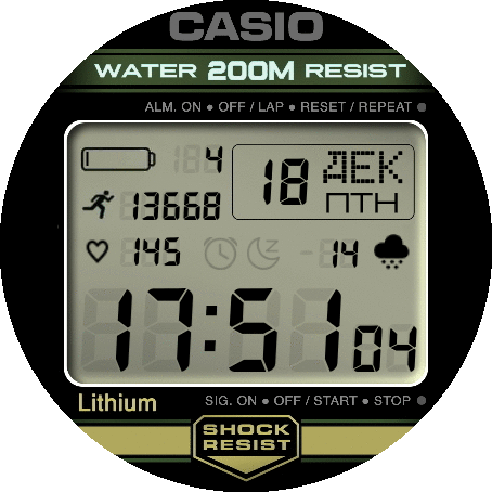 casio_240_dw_mod_ru_GTR_2