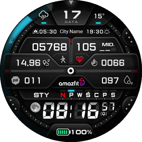 F294 digital GTR3 Pro
