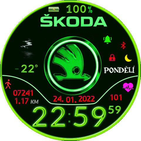 Skoda_2_CZ