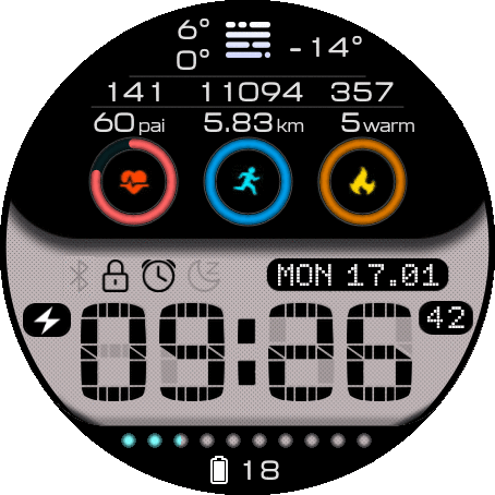 fittwatch_mod_ru_v2_GTR_2