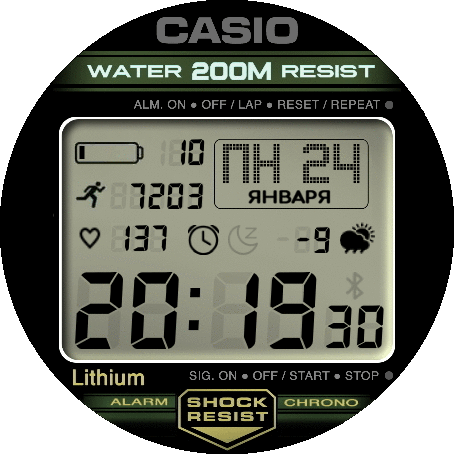 casio_2_mod_ru_GTR_2