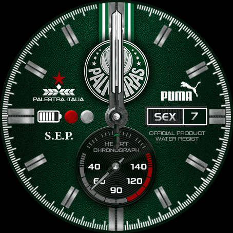 Sociedade Esportiva Palmeiras