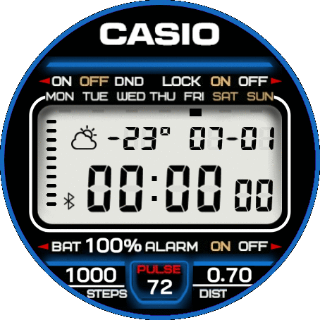 Casio b-22