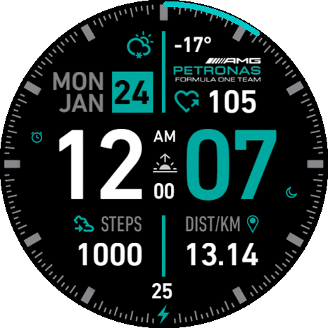 Project Raspberry GTR4