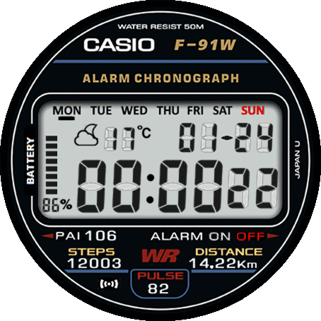 Casio F-91W GTR 3