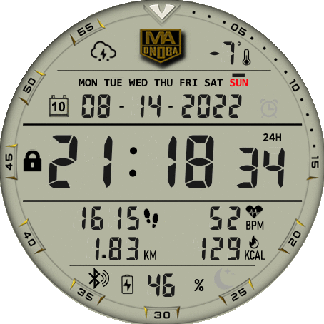 Manuel Angel's MA Digital Total GTR 3 Pro conversion