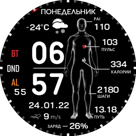 body_scanner_mod_ru_GTR_3_Pro