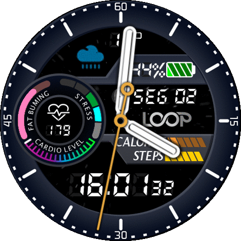 Fossil_Loop_GTR 3 PRO