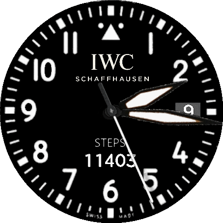 IWC TOP GUN