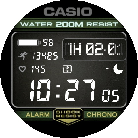 CASIO_mod