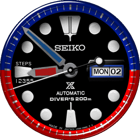 Seiko Diver
