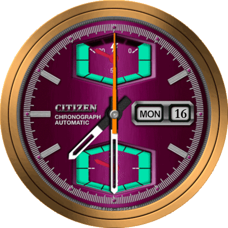 Citizen 8100