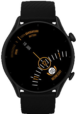 MOD ( Bee  by SashaCX75 )