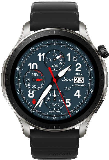 Sinn Germany