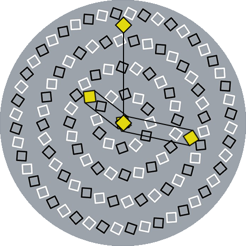 Down the rabbit hole