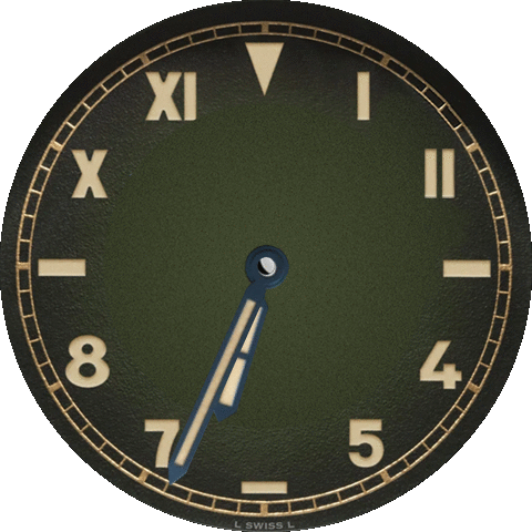 Panerai California dial