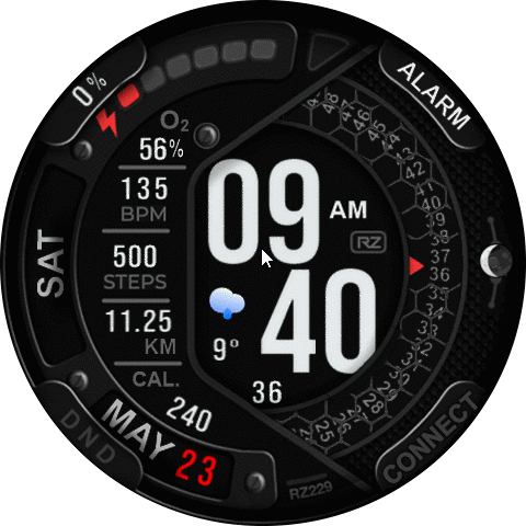 RZ229 ( Amazfit GTR3 Pro ) asoo