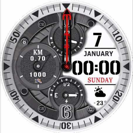 white_black_hawks_gtr2_packed