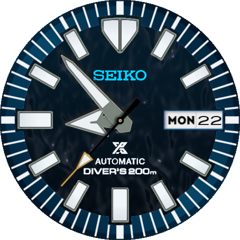 Seiko Prospex Save the Ocean Antarctica