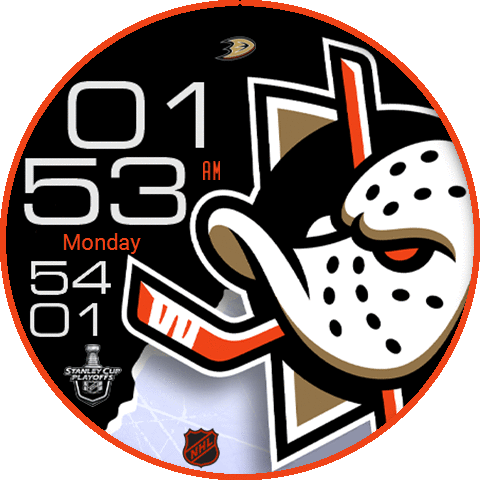Anaheim Ducks (New logo)