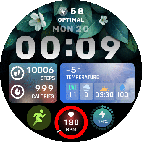 Wonderland of the Green Wilderness