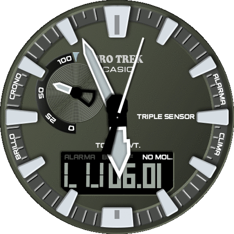 CASIO Pro trek