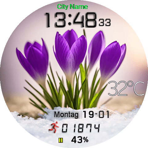 Frühling2026-GTR3pro