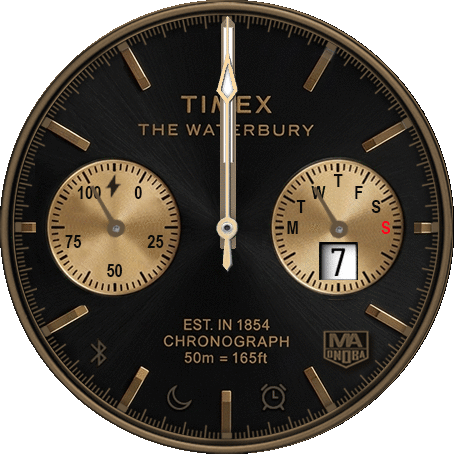 TIMEX THE WATERBURY