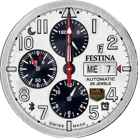 Festina_AUTOMATICO_F20056