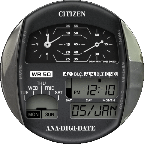 Citizen  retro 8988