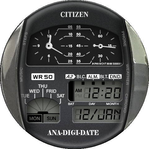 Citizen  Ana-Digi-Date 8988