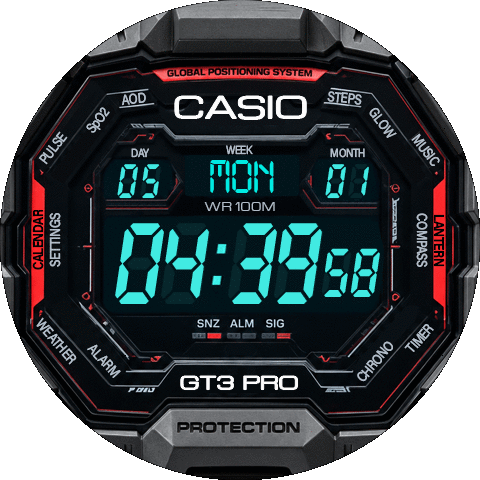 CASIO gt3 pro