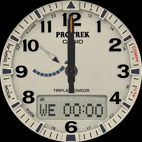 casio protex