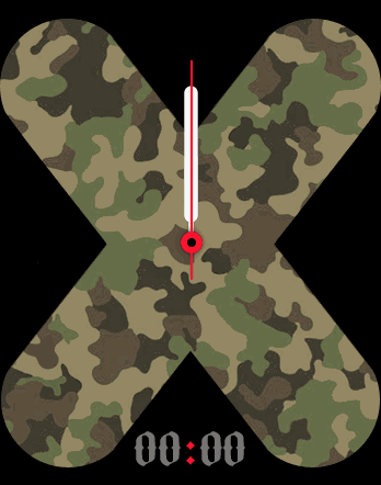 CamouflageX