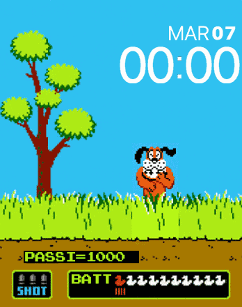 Duck Hunt
