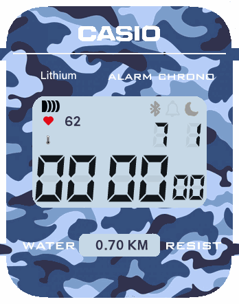 Casio_militar