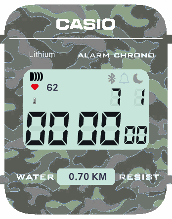 Casio_camuflaje_verde